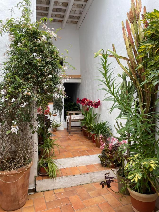 Casa Dulce Villa Vejer de la Frontera Exterior photo